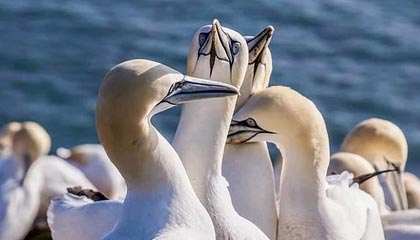 开云kaiyun-融合“足球+科技+文化”多元产业链在行业中不断深化，体教融合足球