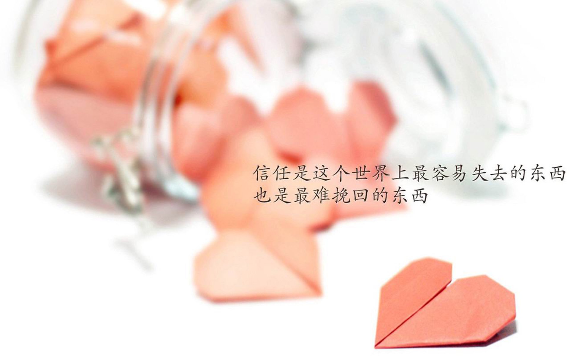_极限漂流挑战赛：勇者的水上冒险之旅_，极限漂移之旅