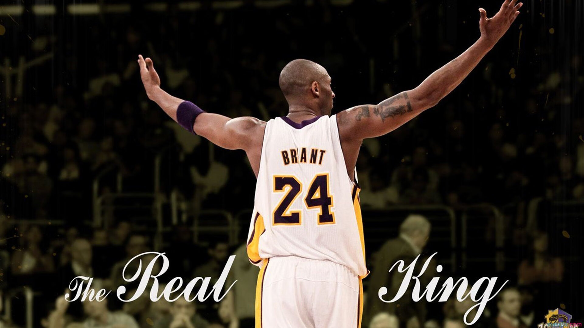 Kaiyun APP-“庆典盛典：年度最盛大明星庆典回顾”，明星盛典晚会