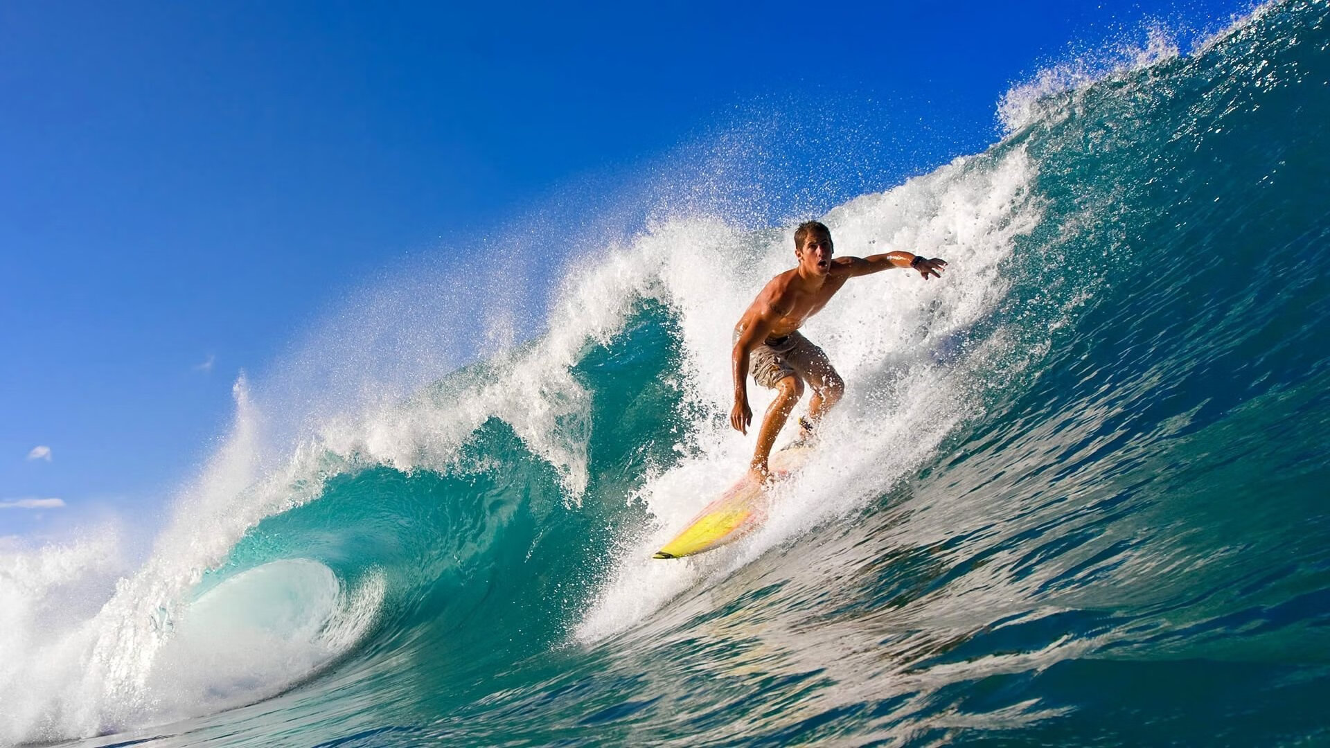 绿色行动：打造可持续环保、低碳绿色篮球世界，绿色低碳发展 行动方案